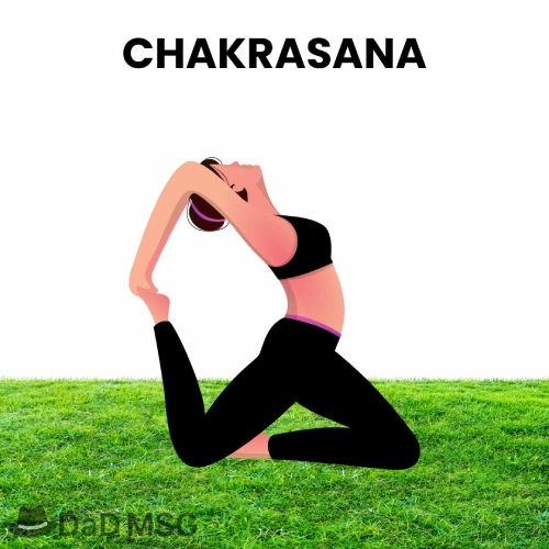 Chakrasana DaD MSG