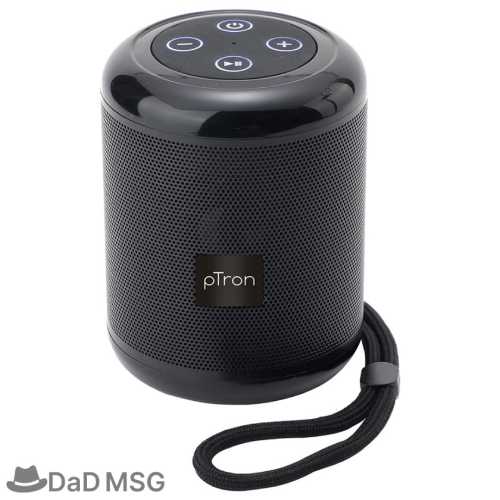 pTron Quinto 5W Wireless Bluetooth DaD MSG