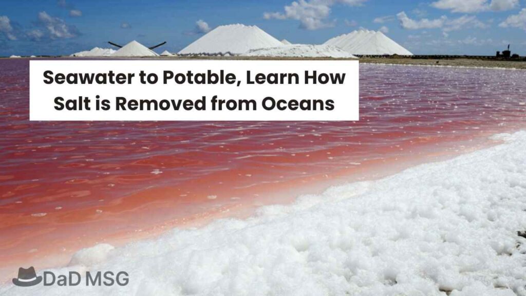 Seawater to Potable, Learn How Salt is Removed from Oceans DaD MSG