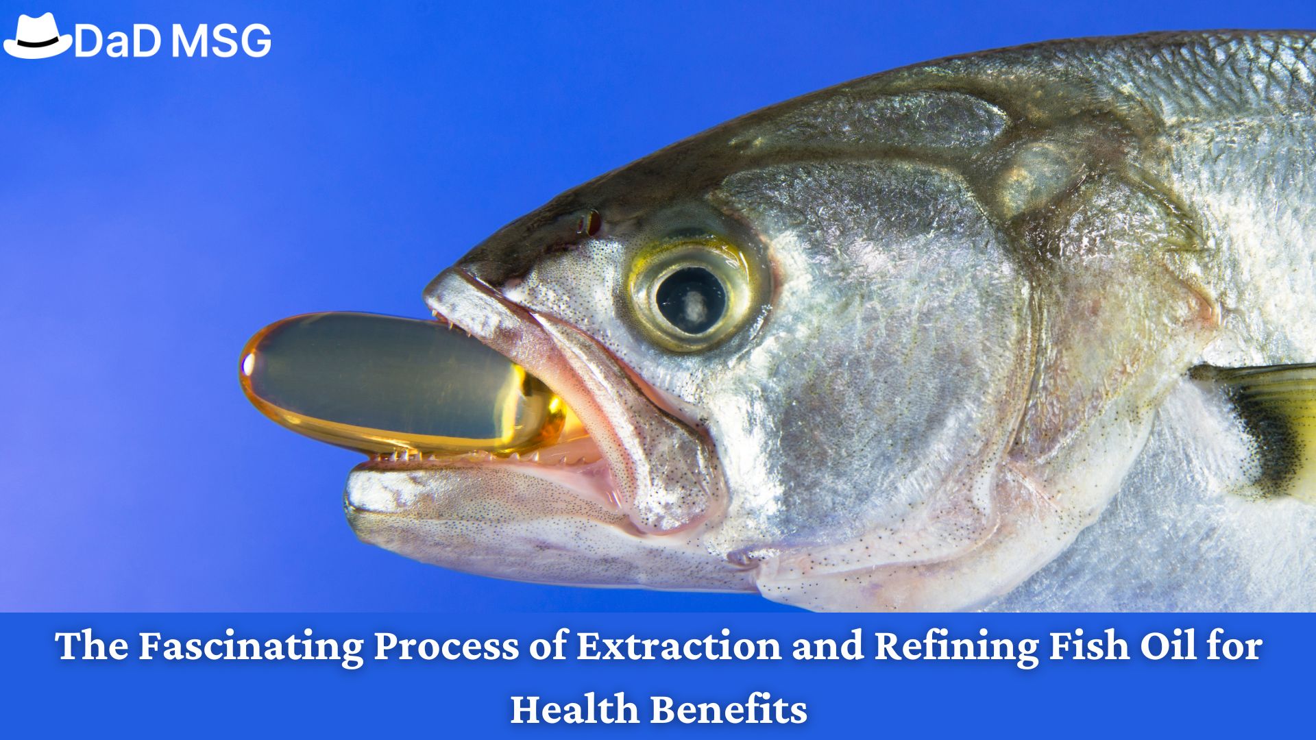 From Sea to Supplement: The Fascinating Process of Extraction and Refining Fish Oil for Health Benefits